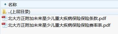 北大方正附加未来星少儿重大疾病保险保险条款.zip