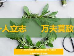 每日鸡汤励志人生一人立志万夫莫敌.zip