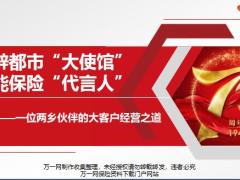 分享一位两乡伙伴的大客户经营之道16页.pptx