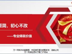专业铸就价值聚焦观念方法案例展示25页.pptx
