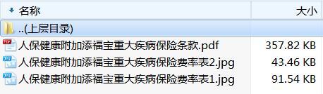 人保健康附加添福宝重大疾病保险条款费率.zip