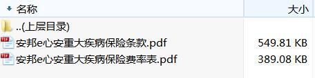 安邦e心安重大疾病保险条款费率.zip