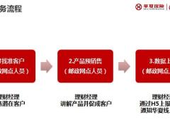 华夏人寿投保流程简介29页.pptx