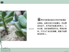 知名演员金燕玲患子宫癌14页.ppt