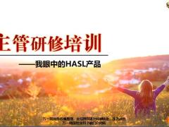 恒安标准我眼中的HASL产品53页.ppt