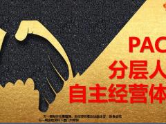 PACS分层人脉自主经营体系国寿版33页.pptx