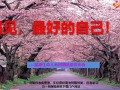 创业说明会主讲富德生命50页.ppt