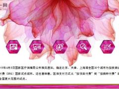 京沪等30地试点医保按病种付费保命钱要省着花21页.ppt
