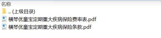 横琴优童宝定期重大疾病保险条款费率.zip