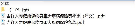 吉祥人寿健康保终身重大疾病保险条款费率.rar