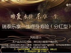 瑞泰乐享一生终身寿险产品特色投保规则19页.pptx