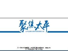 太平品牌90周年经营成绩介绍17页.pptx