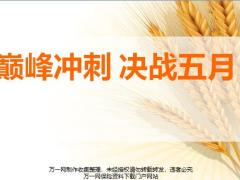 产品退市认知关键动作冲刺规划太平版20页.pptx