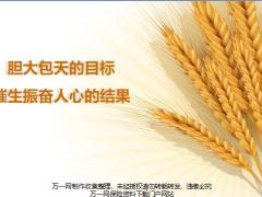 个人分享产品退市冲刺规划流程16页.pptx