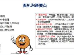 分享健康险大额保单开拓面见前准备沟通要点案例分析18页.pptx
