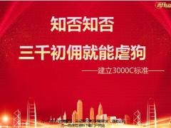 太平基本法分享建立3000C标准20页.pptx