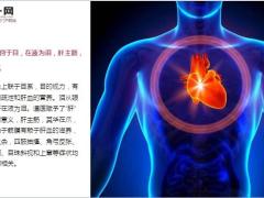 每日健康百病从肝治肝脏保健方法汇总39页.ppt