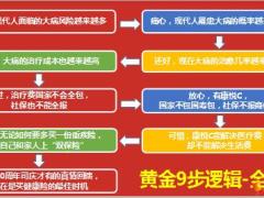 国寿康悦C加销售升级之黄金9步逻辑22页.pptx