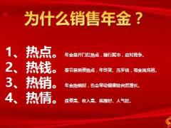 新华三保盛世惠心保销售流程30页.pptx