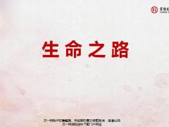 富德生命保险公司2019版简介35页.pptx