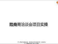 险商商洽谈会项目创说会实操运作关键动作项目实操指引35页.ppt