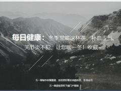 每日健康冬季常喝这杯茶补血正气关节炎不犯让您暖一冬14页.ppt