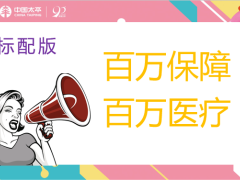 太平人寿百万行无忧学平险组合销售导图12页.pptx