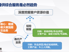 银保渠道如何防卫公司发展的大后方17页.ppt