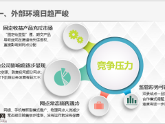 银保渠道专业化经营与标准化管理38页.ppt