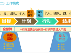 保险规划师五自标准化体系之绩效管理体系目标规划全预算34页.ppt