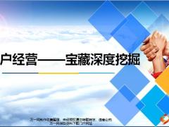 客户经营服务植入销售案例分析94页.pptx