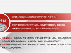 保险诈骗经典案例共享罪犯罪构成特征相关案例分析刑罚规定14页.pptx