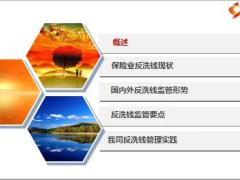 2019年反洗钱知识培训29页.pptx