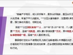 分区经理训练课程9有为才有位23页.ppt