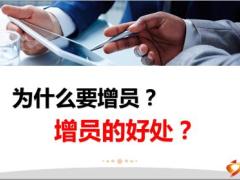 个体企业主群体特征职涯担忧话术切入点21页.pptx