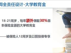 太平人寿悦享京彩盛世金彩荣耀账户产品形态解读52页.pptx