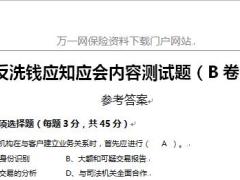 销售人员反洗钱应知应会内容测试题B卷含答案4页.docx
