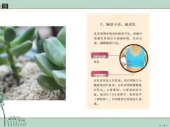 每日健康一把梳子梳走10种疾病你手边最好的保健神器14页.ppt