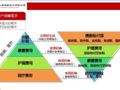 国寿分类人群康悦加销售逻辑健康险销售28页.pptx
