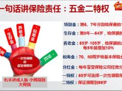 泰康人寿智赢精讲三四三四讲销售53页.pptx