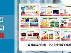 国寿文化墙讲解话术18页.pptx
