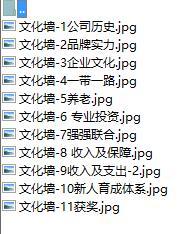 国寿文化墙照片11张公司版.rar