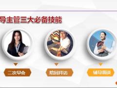 分区经理训练课程19分区辅导主管三项技能含讲师手册.rar