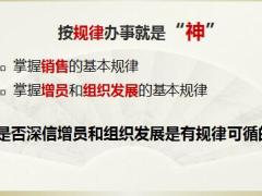 增员与织发展重要认知基本规律正确的事情31页.pptx