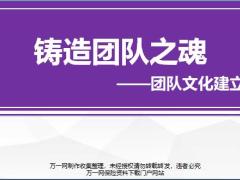 分区经理训练课程27团队文化与建设含讲师手册.rar