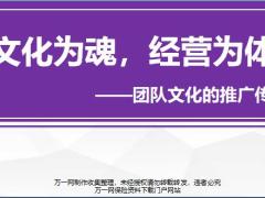 分区经理训练课程28团队文化的推广传承含讲师手册.rar