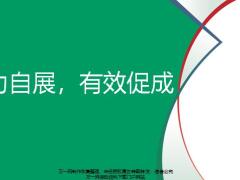 情景描绘心态产品核保梦想礼品需求促成33页.pptx