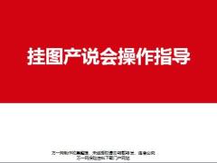 挂图产说会项目介绍讲授逻辑操作流程31页.pptx
