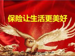 人生四大风险意义功用工作价值66页.pptx