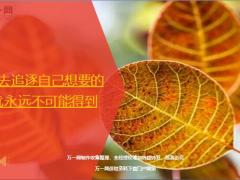 每日鸡汤励志人生不去追逐自己想要的就永远不可能得到.zip